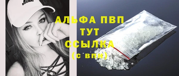 бошки Бородино