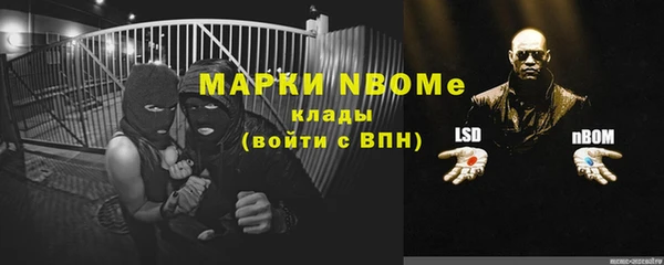 бошки Бородино