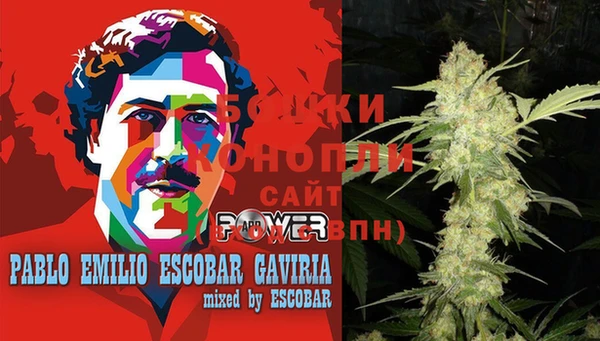 бошки Бородино