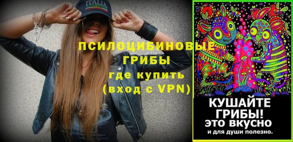 бошки Бородино